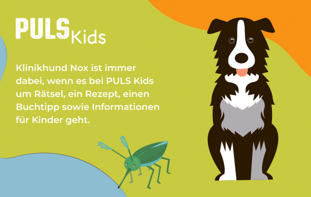 Grafiken: MuchMania, Godruma, PCH-Vector | istockphoto.com