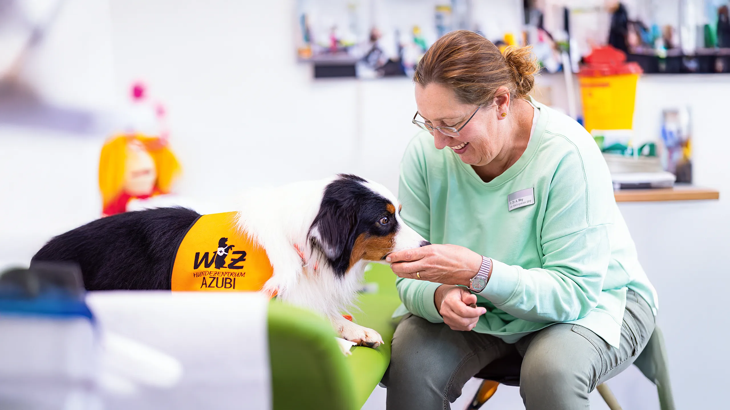 Therapiehund Magic mit Dr. Antje Mey