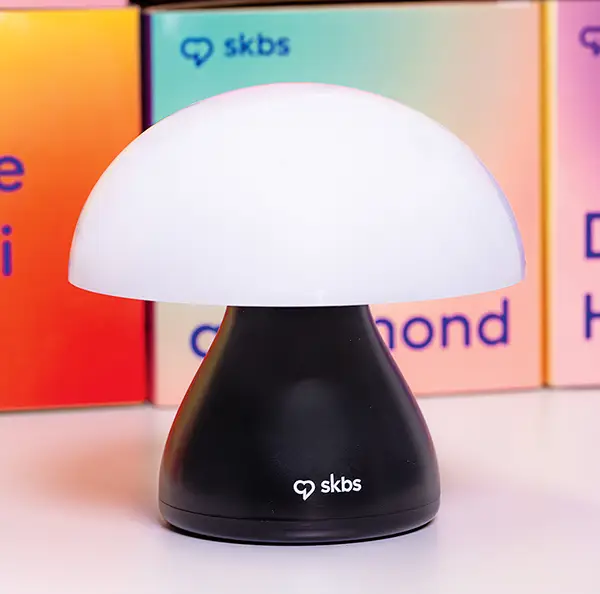skbs Tischlampe