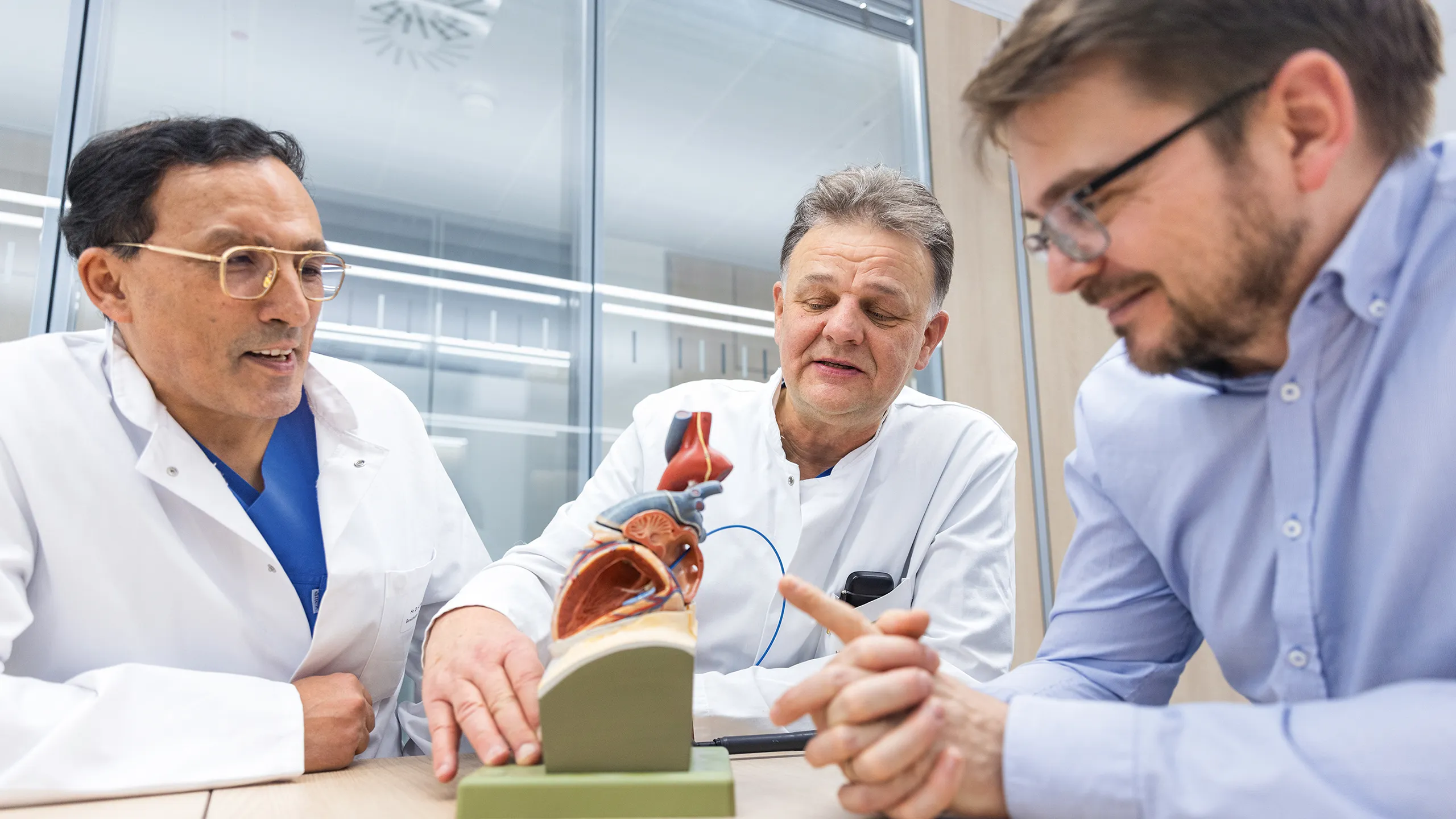 Ärzte mit Herzmodell