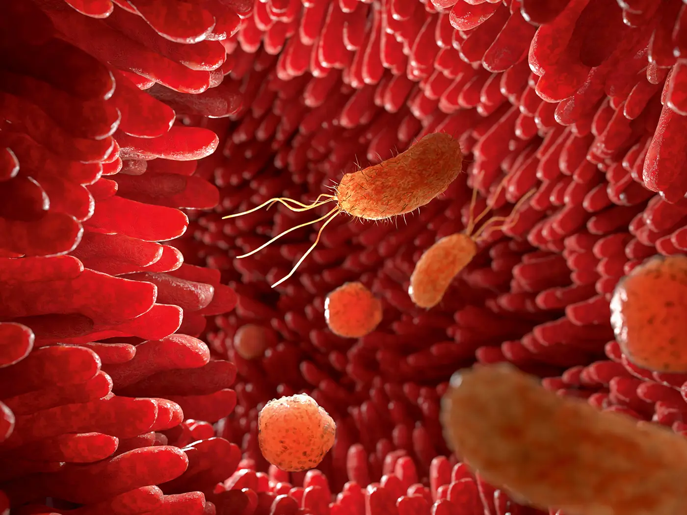 Puls-1-26_zoom Grafik